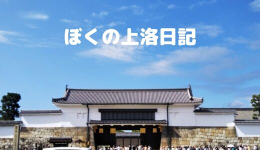 北国街道・新井宿（新潟県妙高市）～江戸・ぼくの上洛日記その２